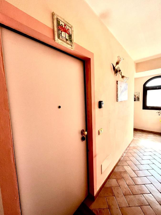 Pink Flamingo Accomodation 科马基奥 外观 照片