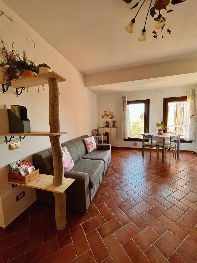 Pink Flamingo Accomodation 科马基奥 外观 照片