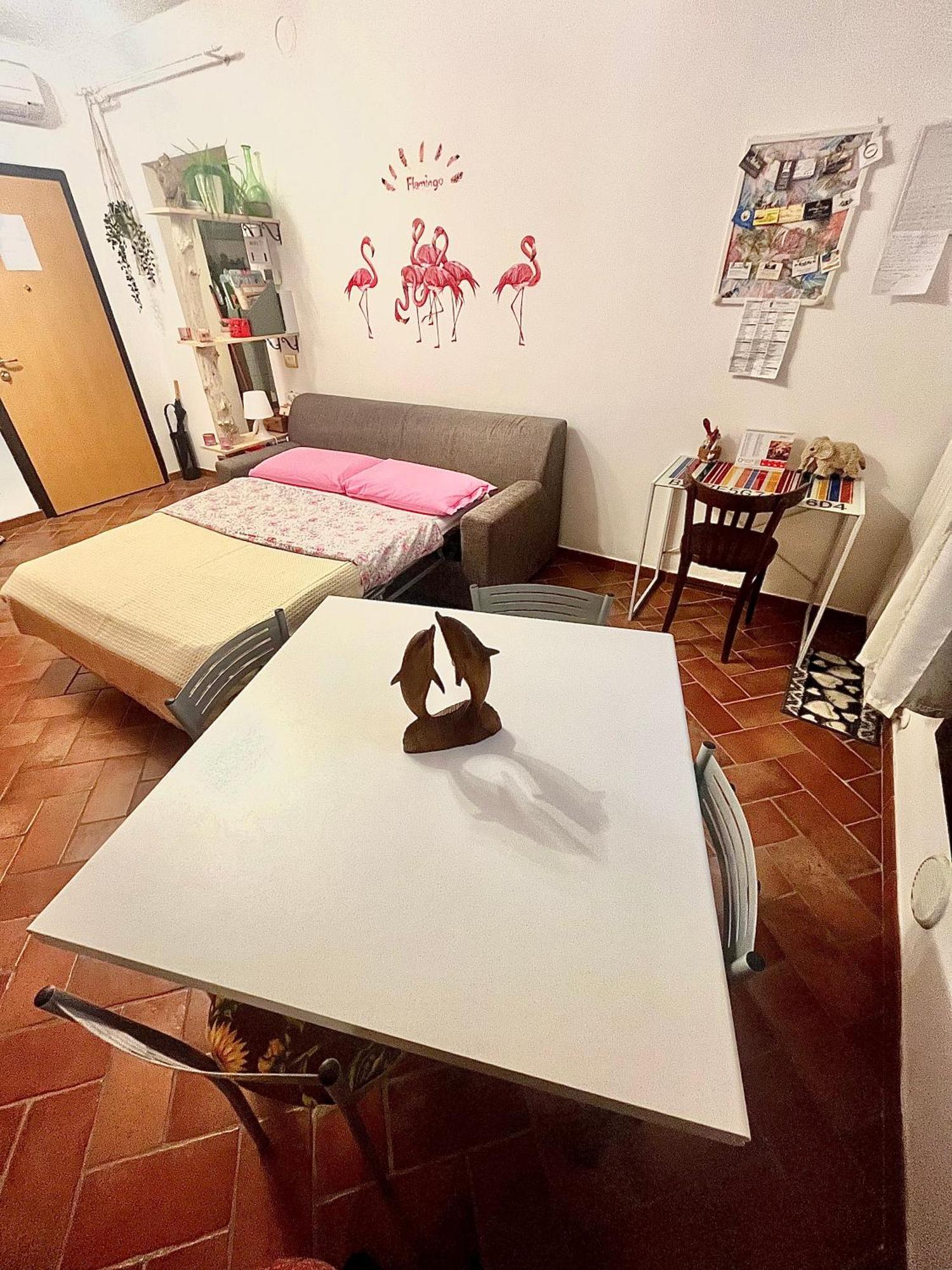 Pink Flamingo Accomodation 科马基奥 外观 照片